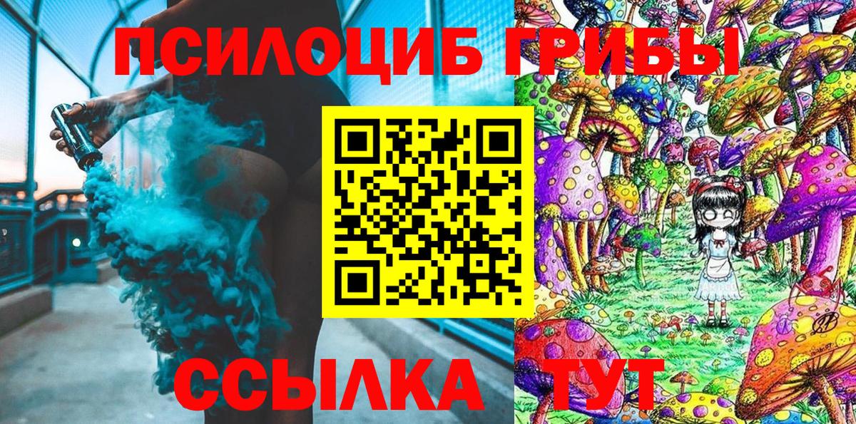 Псилоцибиновые грибы Psilocybine cubensis  наркошоп  Псков  Вход с VPN 